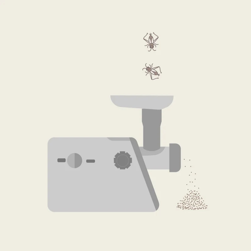 Grinding Crickets for cricket flour