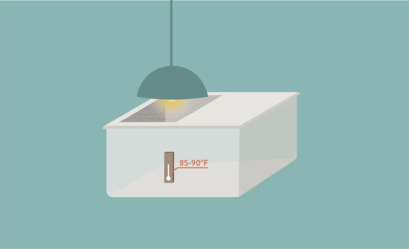 Heating unit above the Cricket breeding container 